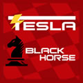 TESLA BLACK HORSE
